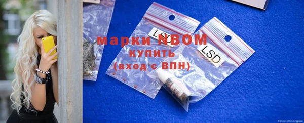 сатива Балахна