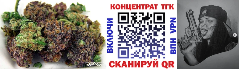 Купить закладки  Судак  ТГК концентрат 