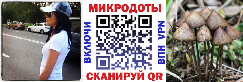 Купить закладки  Судак  Галлюциногенные грибы ЛСД 